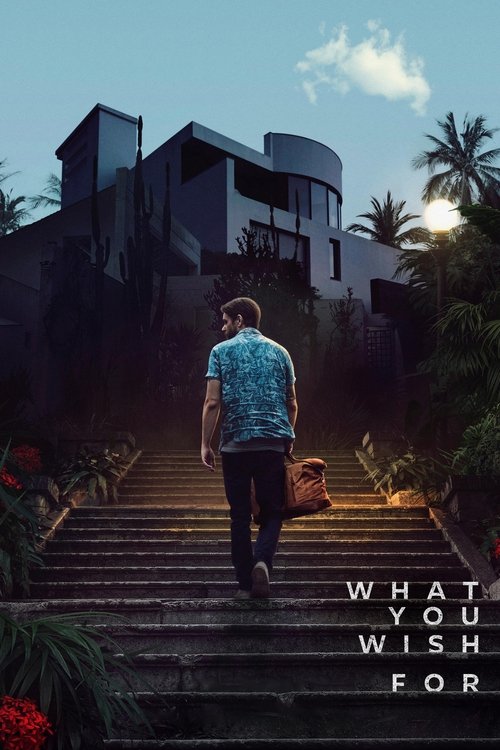 What You Wish For movie poster
