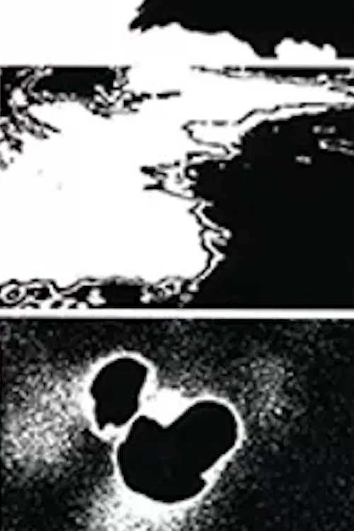 Time Being movie poster