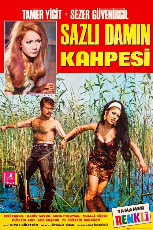Sazlı Damın Kahpesi movie poster