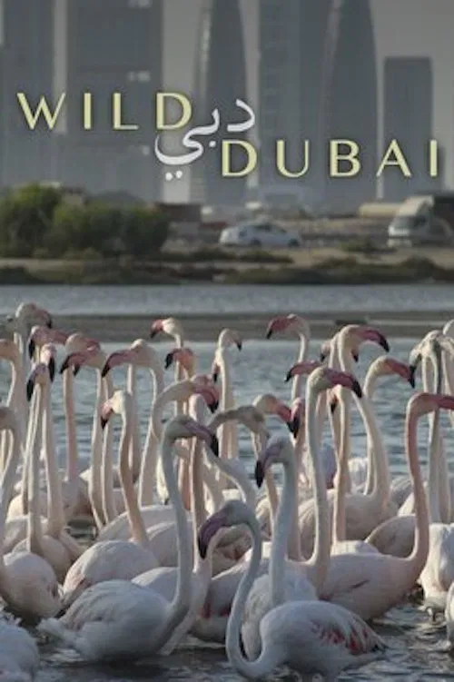 Wild Dubai movie poster