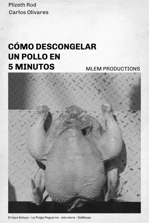 How to defrost a chicken in 5 minutes movie poster