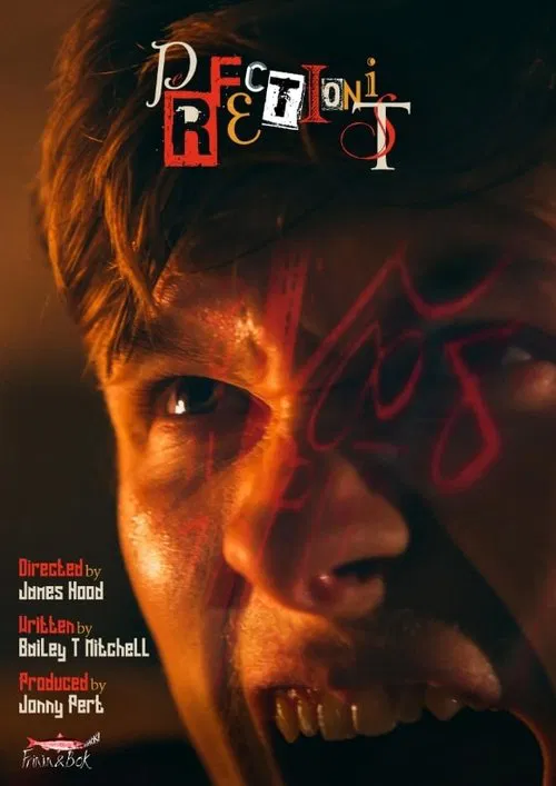 Perfectionist movie poster