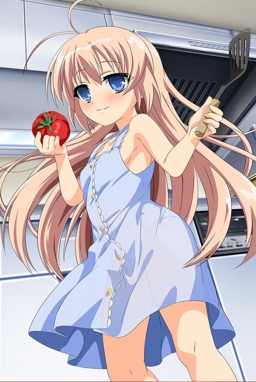 Hajimete no Orusuban tv show poster