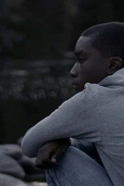 Terrance movie poster