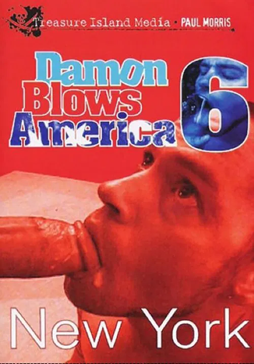 Poster do filme Damon Blows America 6: New York