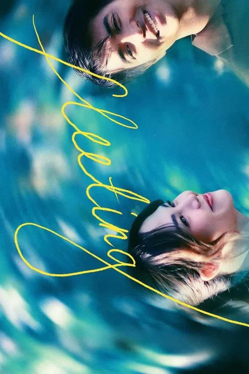 Fleeting movie poster