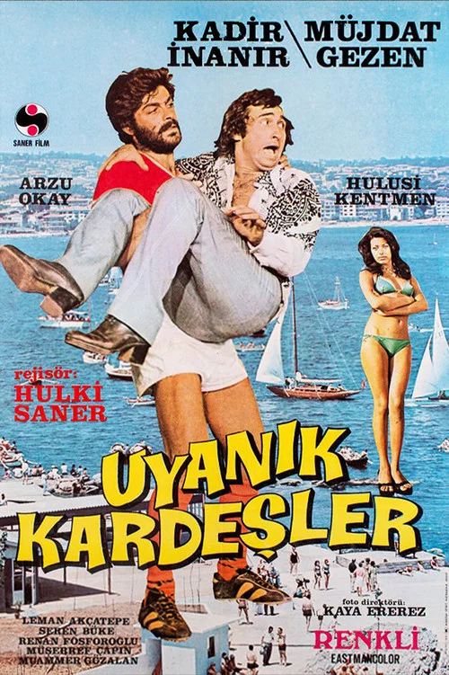 The Cunning Brothers movie poster
