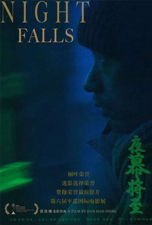 Poster do filme Night Falls
