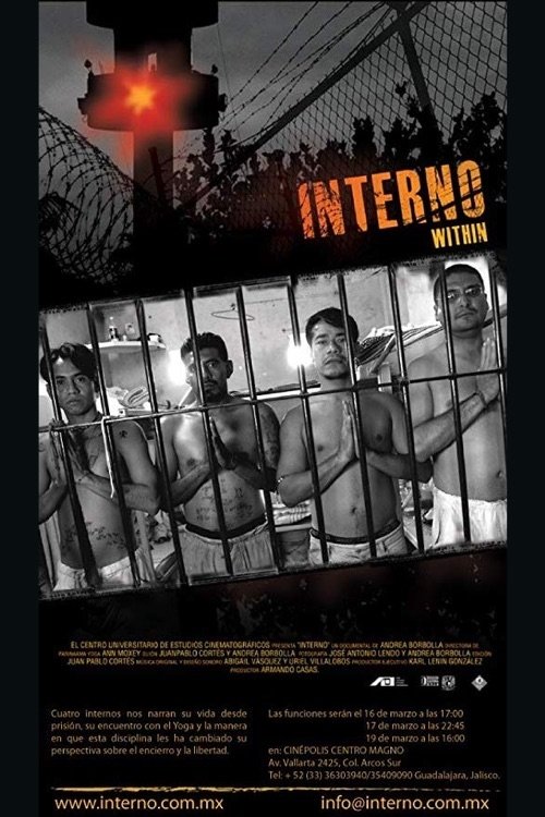 Internal movie poster