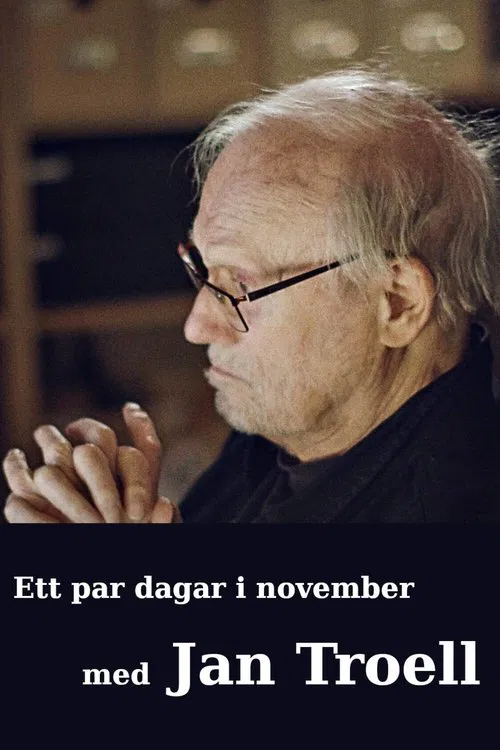 Ett par dagar i november med Jan Troell movie poster