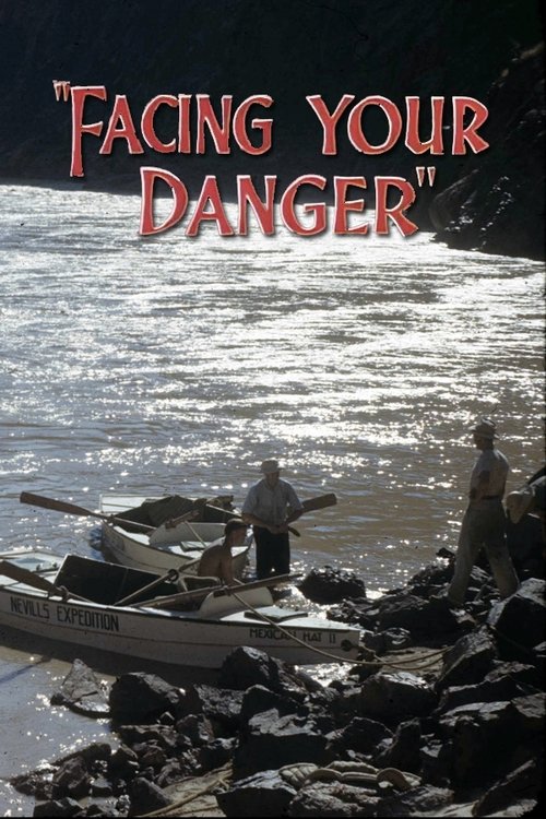 Poster do filme Facing Your Danger