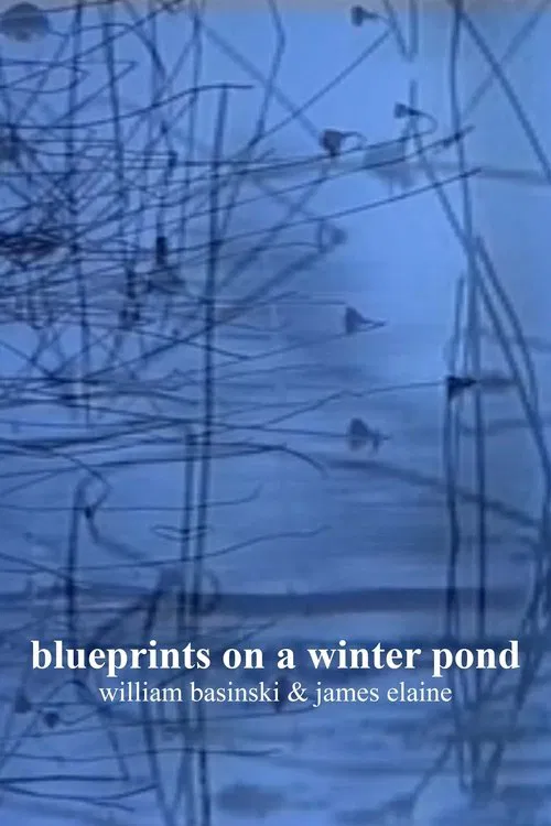 Poster do filme blueprints on a winter pond