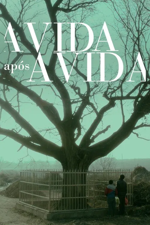 Poster do filme A Vida Após a Vida