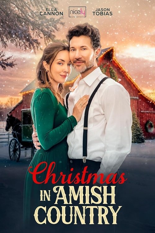 Poster do filme Christmas in Amish Country
