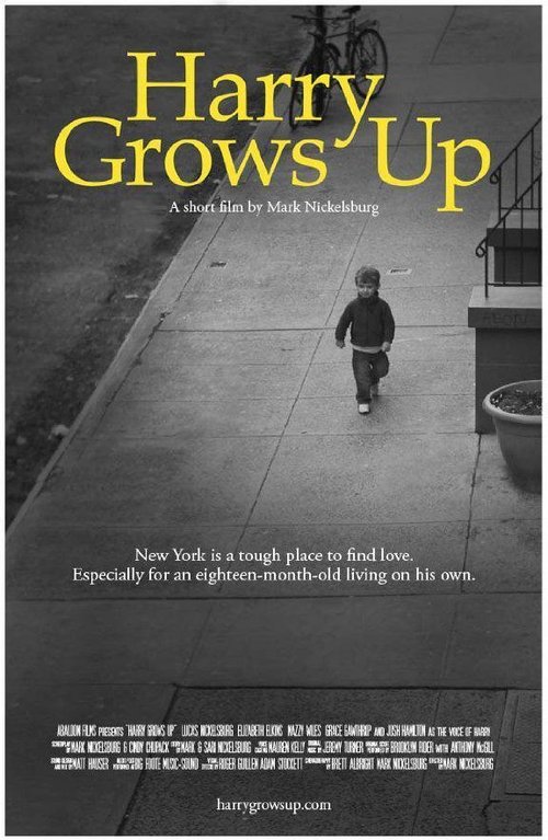 Harry Grows Up movie poster