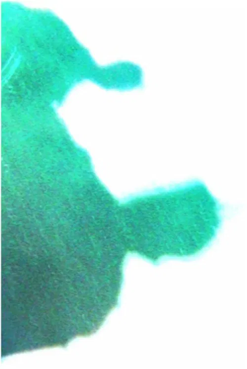 Poster do filme Le revenant