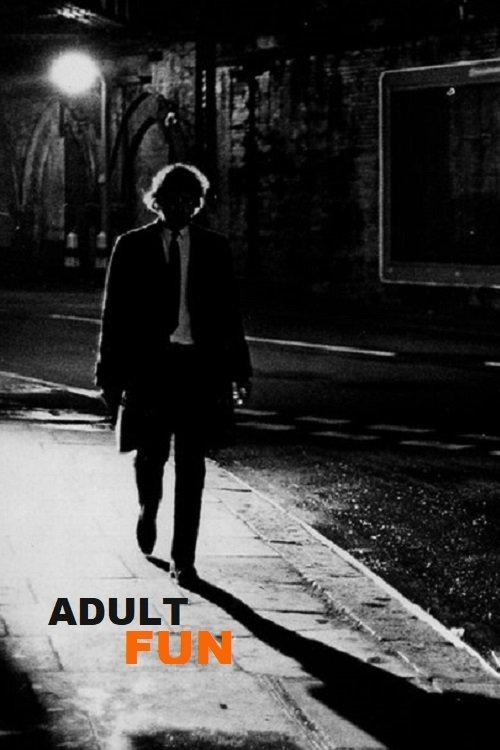 Adult Fun movie poster