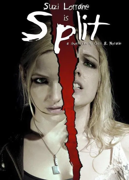 Split movie poster