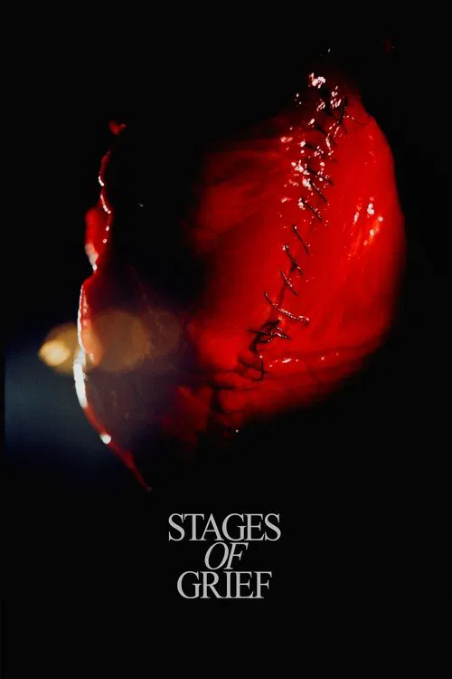 Poster do filme Stadier af sorg