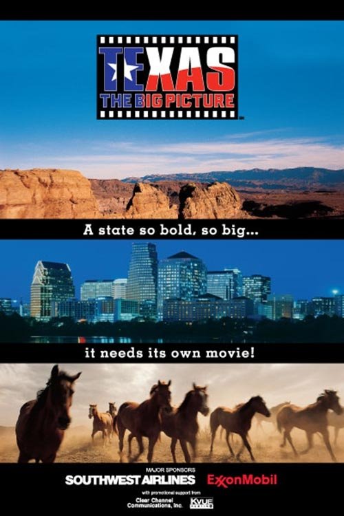 Texas: The Big Picture movie poster