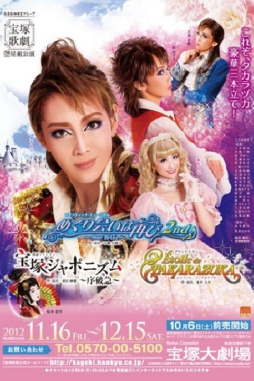 A Second Fortuitous Meeting 2nd ~Star Bride~ movie poster