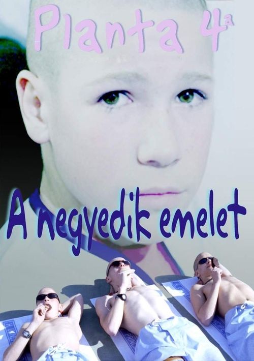 The 4th Floor movie poster