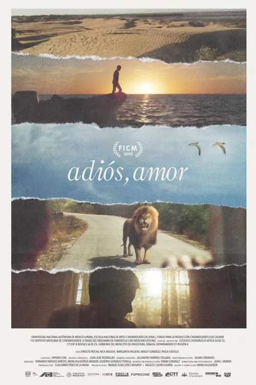 Poster do filme Goodbye, Love