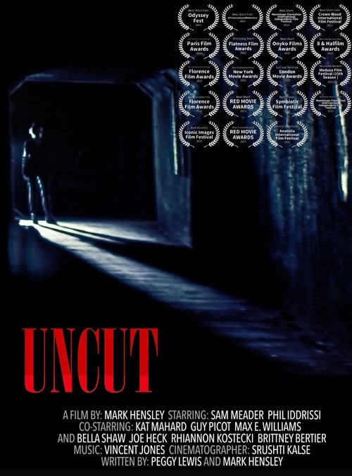 Uncut movie poster