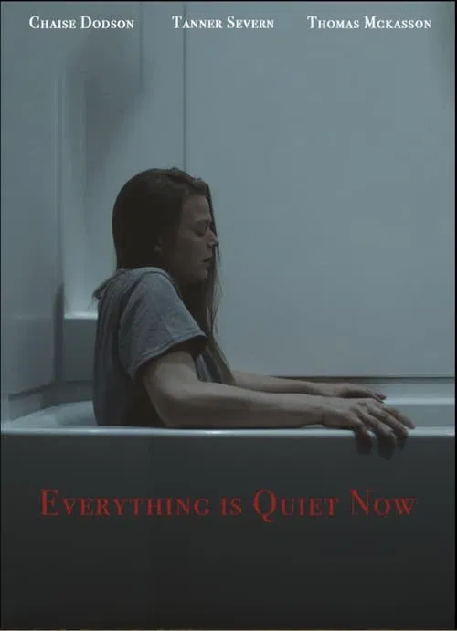 Poster do filme Everything is Quiet Now