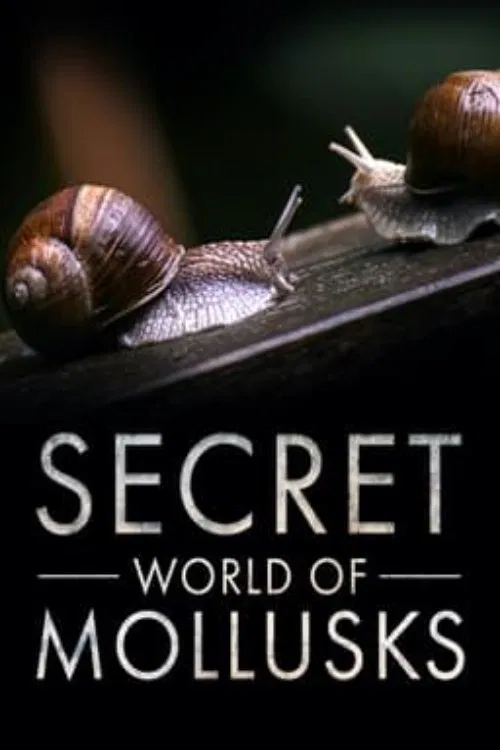 Secret World of Mollusks movie poster
