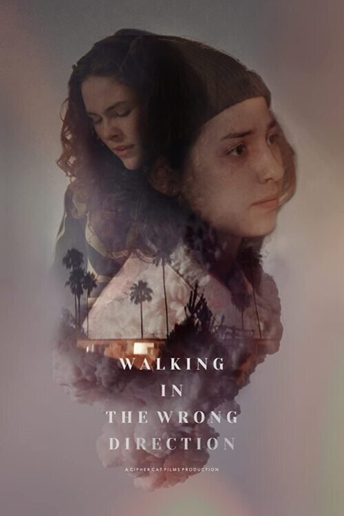Walking in the Wrong Direction movie poster