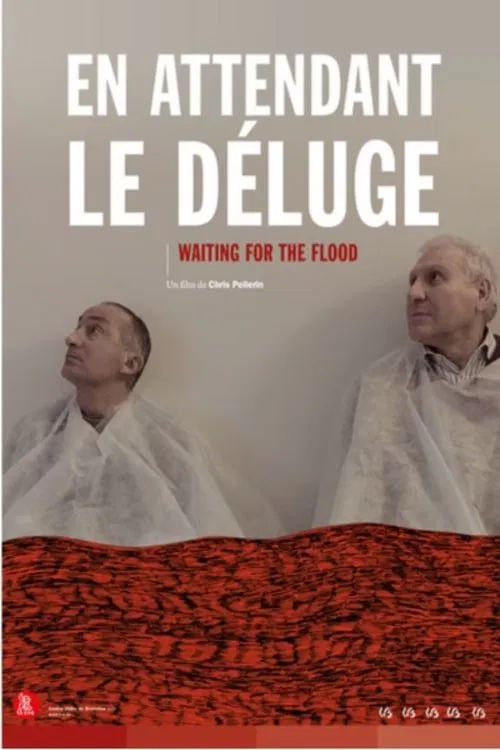 Poster do filme Waiting for the Flood