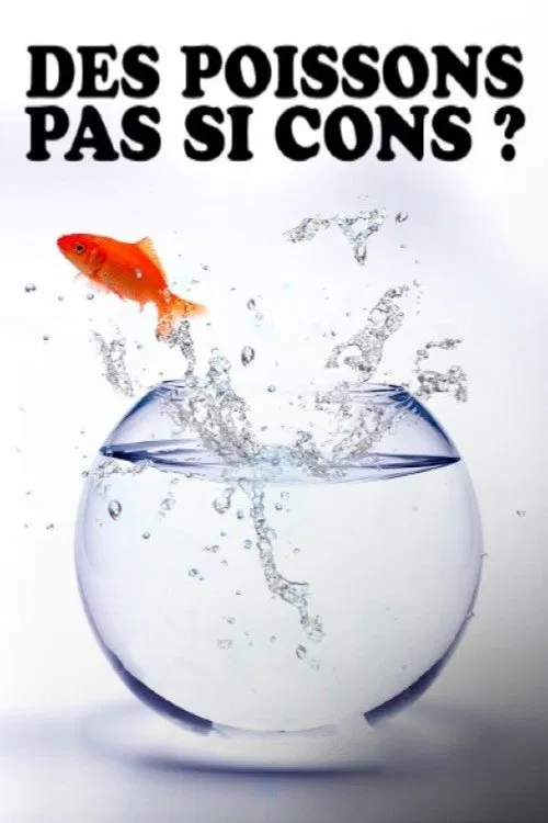 Des poissons, pas si cons ? movie poster