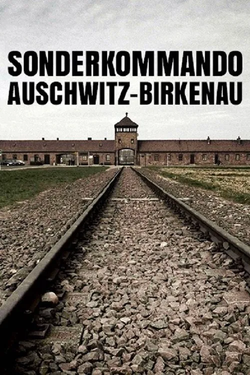 Sonderkommando Auschwitz-Birkenau movie poster