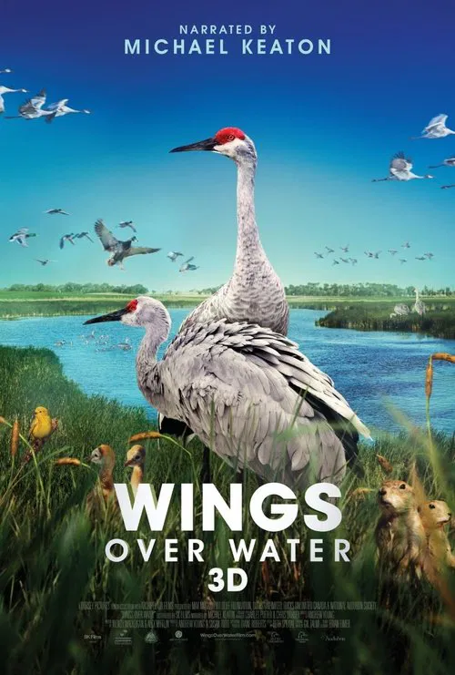 Poster do filme Wings Over Water