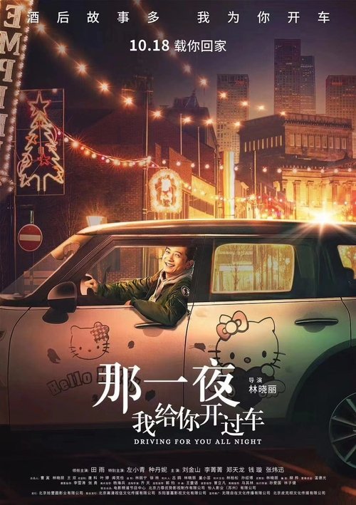Driving For You All Night movie poster
