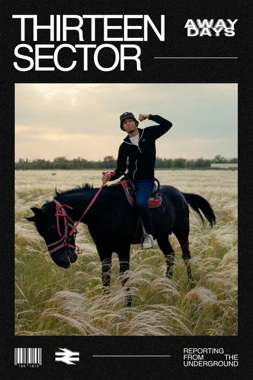 Thirteen Sector movie poster