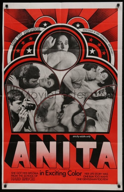Anita movie poster