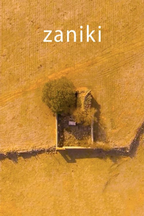 Zaniki movie poster