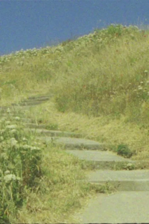 The seagull... and the glory of God movie poster