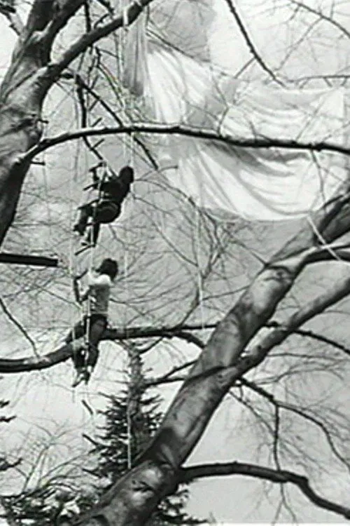 Tree Dance movie poster