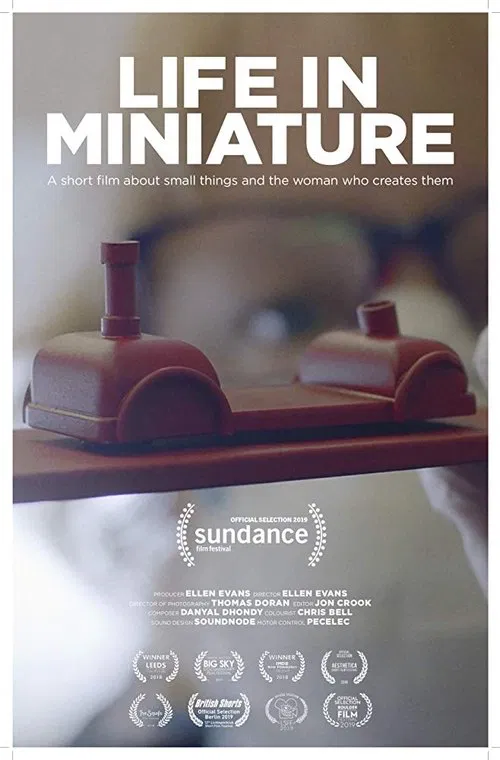 Life in Miniature movie poster