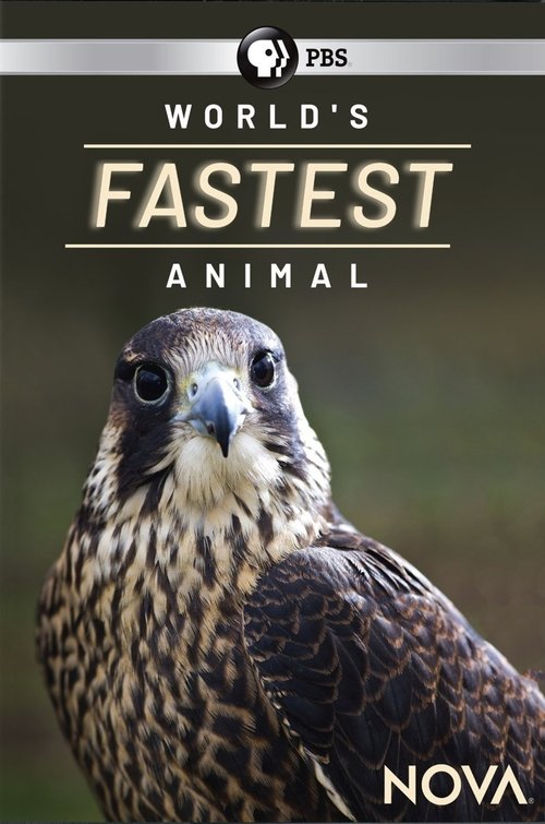 World's Fastest Animal movie poster