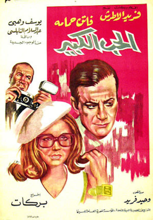 Big Love movie poster
