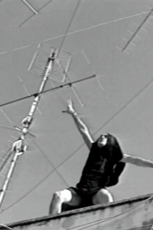 L'handicappato movie poster