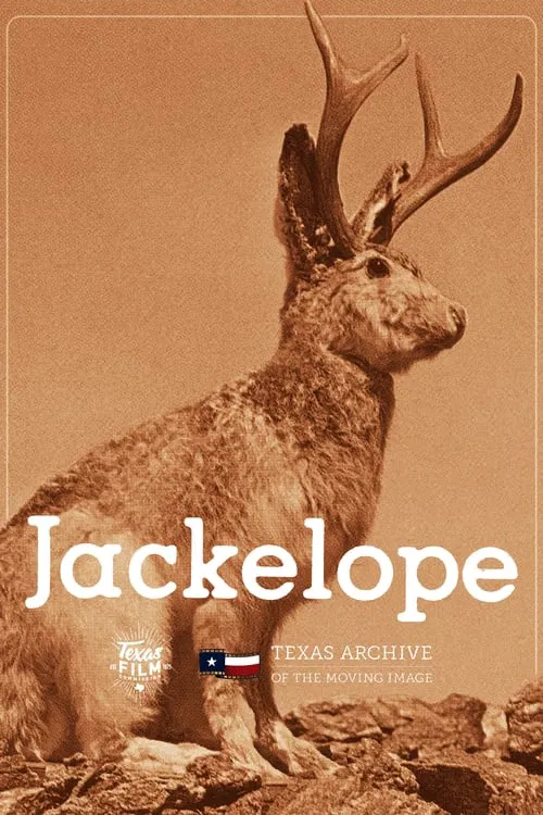 Jackelope movie poster