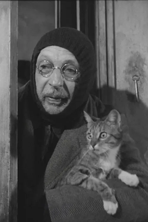 L'Homme au chats movie poster