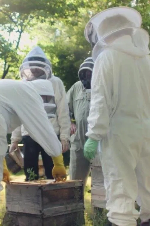 Poster do filme Centenary Film