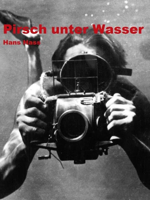 Pirsch unter Wasser movie poster