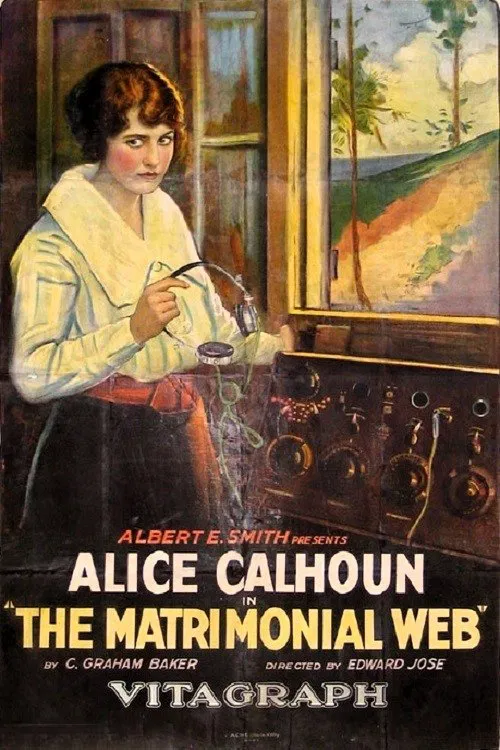 The Matrimonial Web movie poster